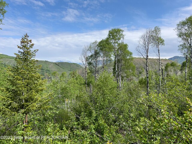 Rodeo Rd, Jackson, WY 83001 - photo 17