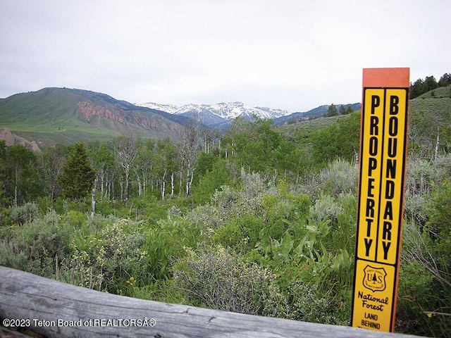 Rodeo Rd, Jackson, WY 83001 - photo 18