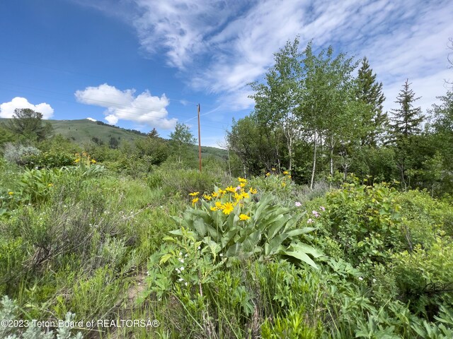 Rodeo Rd, Jackson, WY 83001 - photo 22