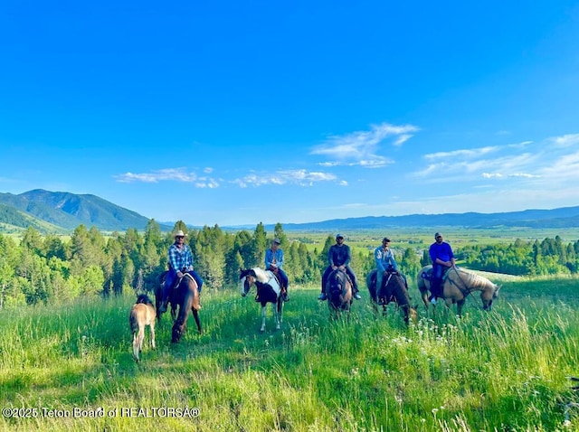 800 Dell Crk, Alpine, WY 83128 - view of community featuring a mountain view and a view of rural / pastoral area