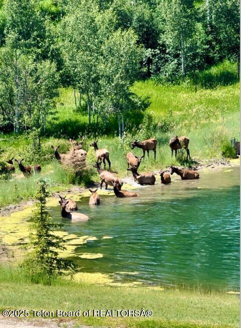 800 Dell Crk, Alpine, WY 83128 - water view