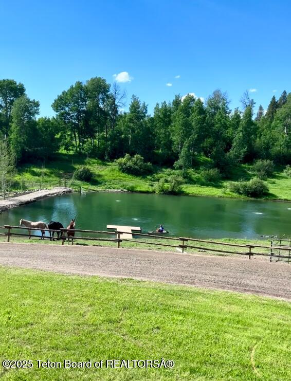 800 Dell Crk, Alpine, WY 83128 - view of community with a water view