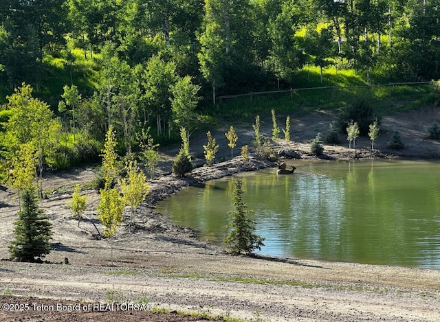 800 Dell Crk, Alpine, WY 83128 - water view