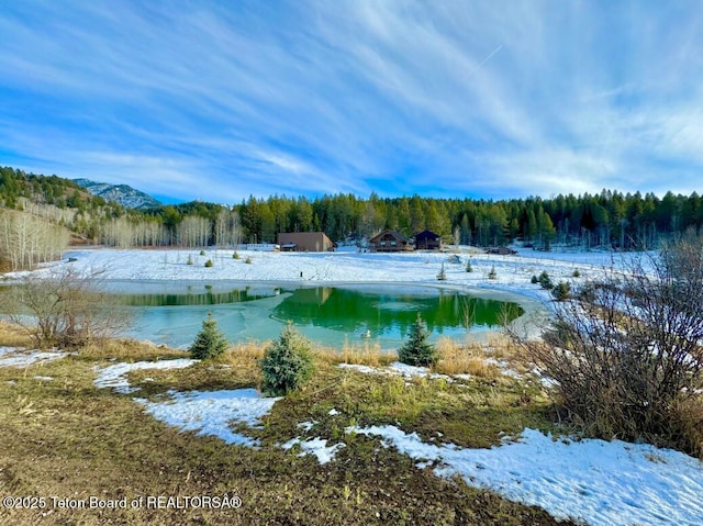 800 Dell Crk, Alpine, WY 83128 - water view featuring a forest
