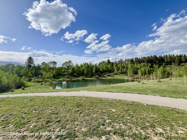 800 Dell Crk, Alpine, WY 83128 - water view