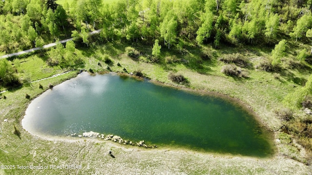 800 Dell Crk, Alpine, WY 83128 - view of property location with a large body of water