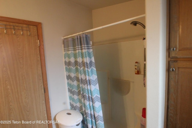 10 Foothill Blvd, Alpine, WY 83128 - full bath featuring curtained shower