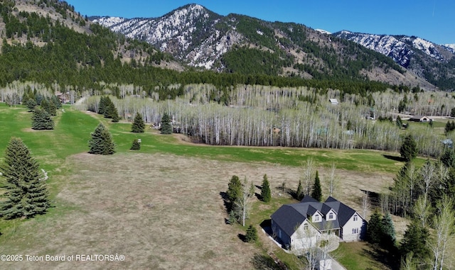604 Vista W Dr, Star Valley Ranch, WY 83127 - photo 49