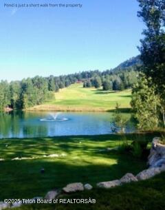 604 Vista W Dr, Star Valley Ranch, WY 83127 - photo 7