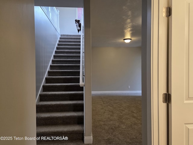 532 Palisade Trl, Driggs, ID 83422 - stairway featuring baseboards and carpet