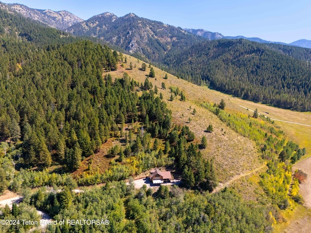 view of mountain feature with a view of trees