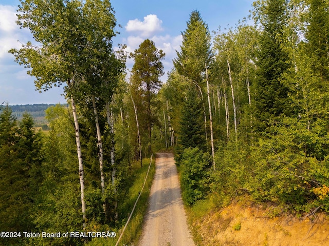 view of street with a forest view