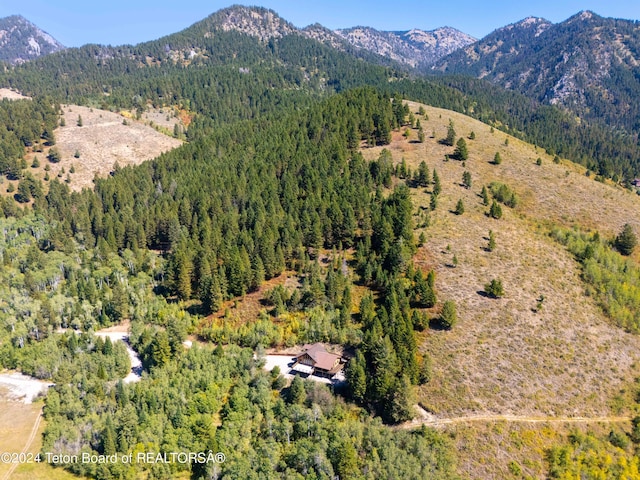 aerial view with a mountain view and a forest view