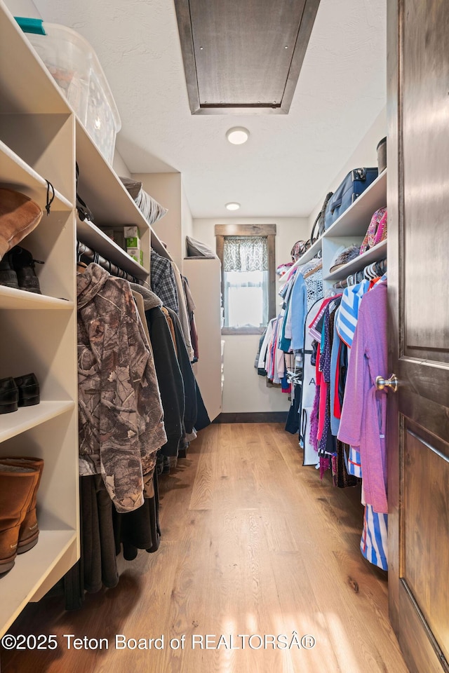 spacious closet with attic access and wood finished floors
