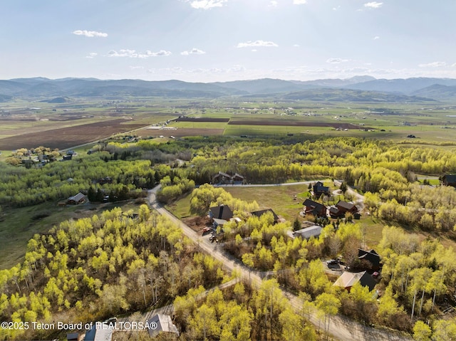bird's eye view featuring a mountain view