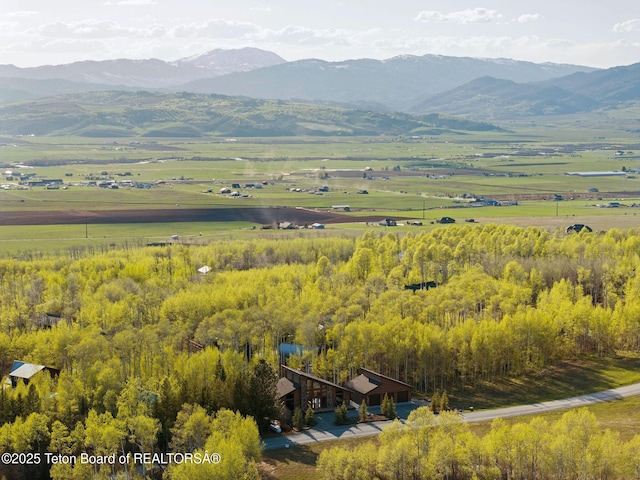 birds eye view of property with a mountain view and a rural view