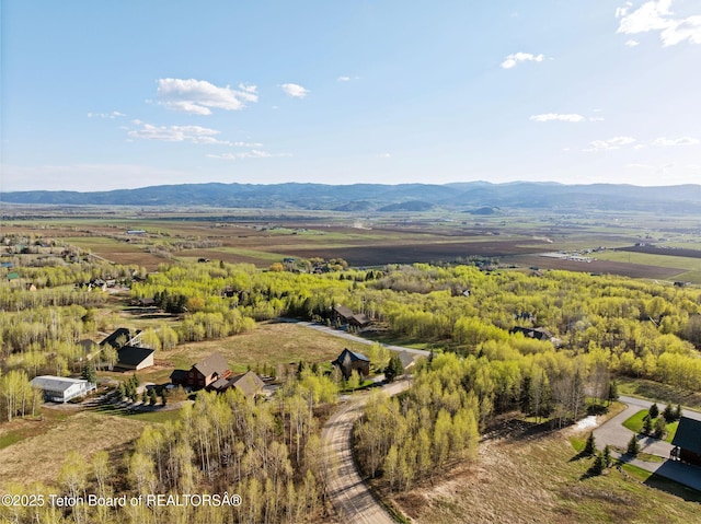 drone / aerial view with a mountain view