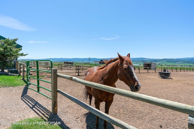 86 Hawks Rest Rd, Etna, WY 83118 - view of jungle gym featuring a rural view, an exterior structure, and a mountain view