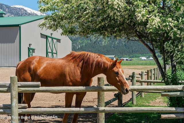 86 Hawks Rest Rd, Etna, WY 83118 - stable featuring a mountain view