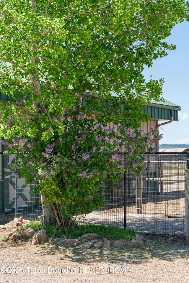 86 Hawks Rest Rd, Etna, WY 83118 - view of yard