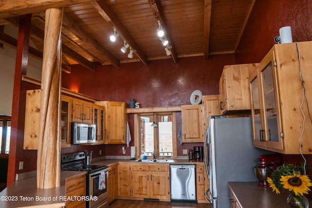 4 Beaver Ridge Rd, Daniel, WY 83115 - kitchen with appliances with stainless steel finishes, a sink, rail lighting, high vaulted ceiling, and wood ceiling