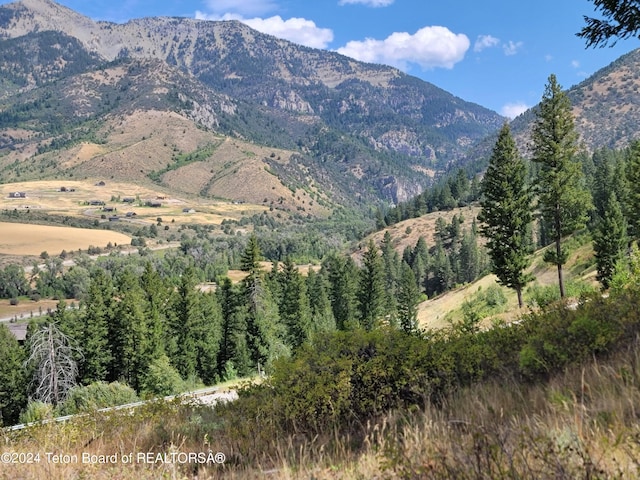 LOT31-32B1 Cutthroat Run, Irwin, ID 83428 - photo 2