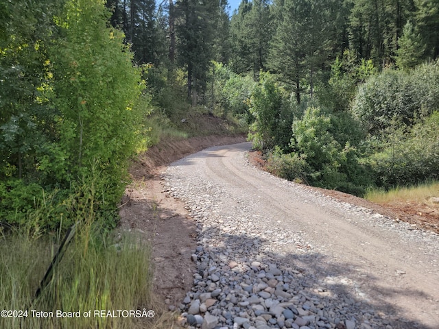 LOT31-32B1 Cutthroat Run, Irwin, ID 83428 - photo 3