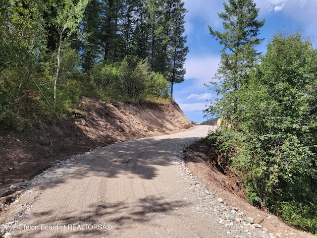 LOT31-32B1 Cutthroat Run, Irwin, ID 83428 - photo 4