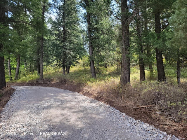 LOT31-32B1 Cutthroat Run, Irwin, ID 83428 - photo 6