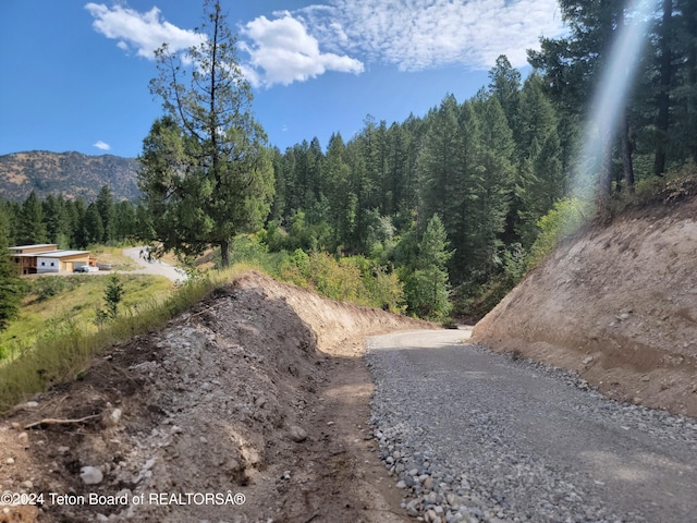 LOT31-32B1 Cutthroat Run, Irwin, ID 83428 - photo 7