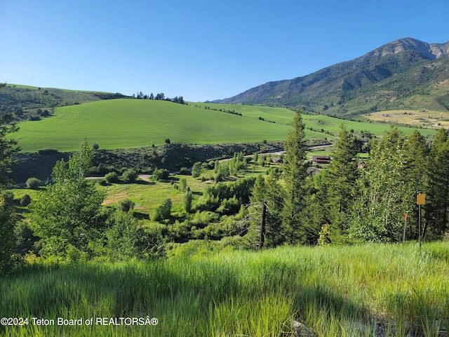 LOT31-32B1 Cutthroat Run, Irwin, ID 83428 - photo 8