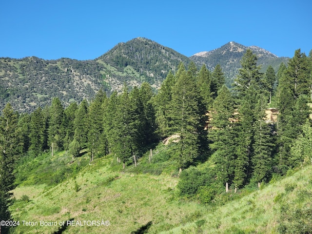 LOT31-32B1 Cutthroat Run, Irwin, ID 83428 - photo 10