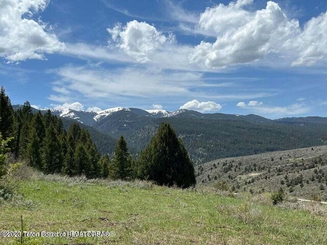 LOT31-32B1 Cutthroat Run, Irwin, ID 83428 - photo 13