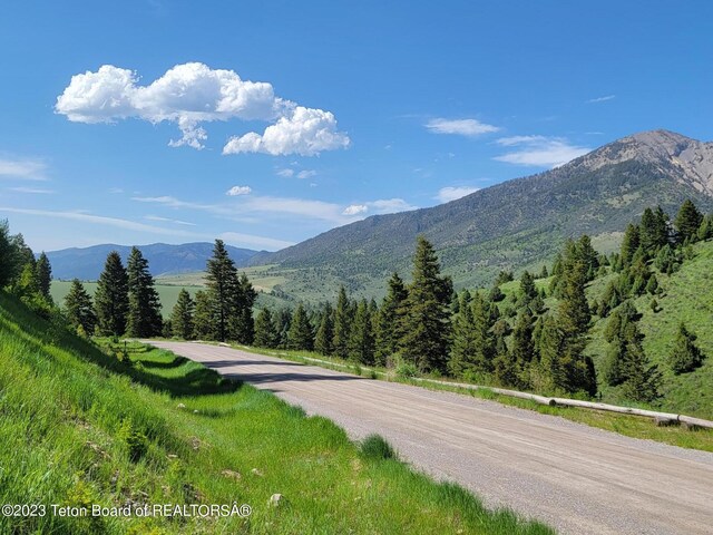 LOT31-32B1 Cutthroat Run, Irwin, ID 83428 - photo 14