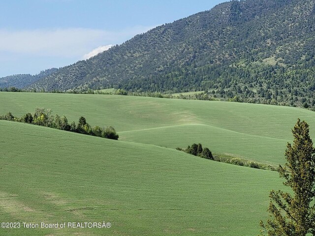 LOT31-32B1 Cutthroat Run, Irwin, ID 83428 - photo 15