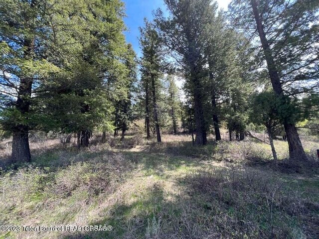 LOT31-32B1 Cutthroat Run, Irwin, ID 83428 - photo 17