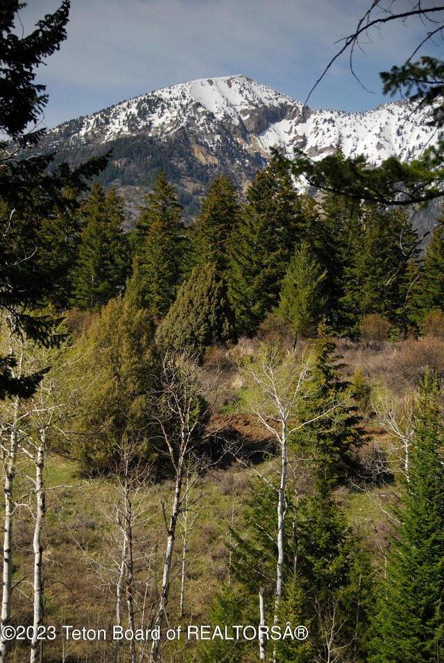 LOT31-32B1 Cutthroat Run, Irwin, ID 83428 - photo 18