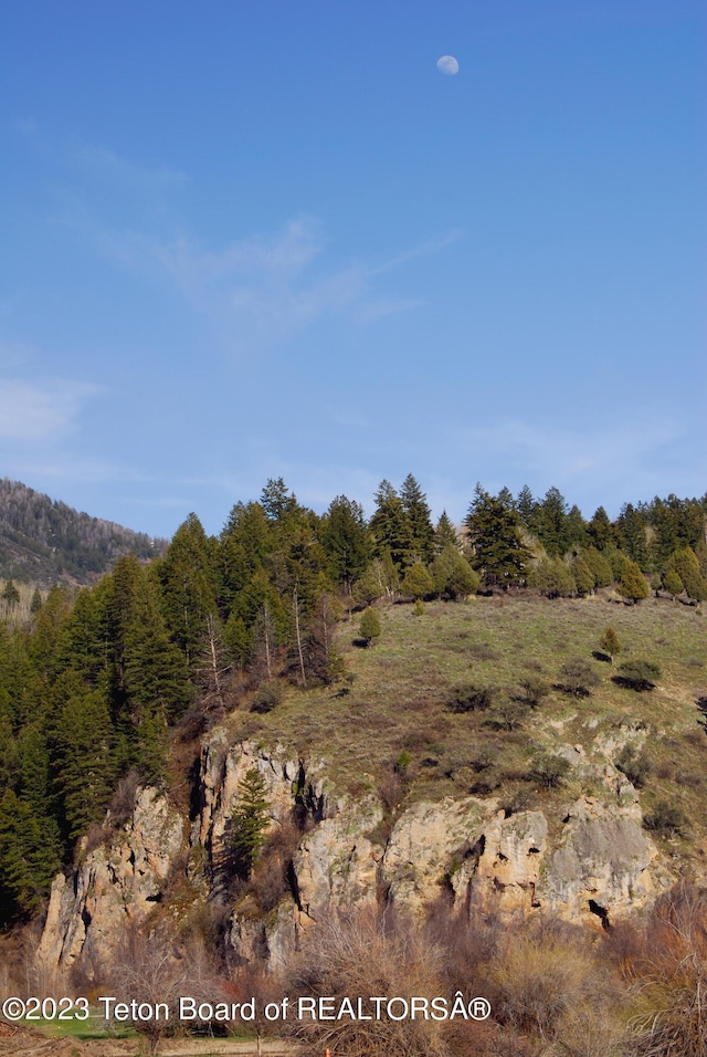 LOT31-32B1 Cutthroat Run, Irwin, ID 83428 - photo 20