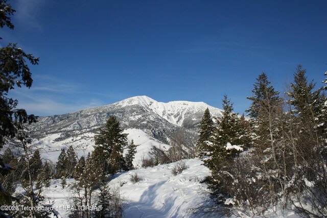 LOT31-32B1 Cutthroat Run, Irwin, ID 83428 - photo 21
