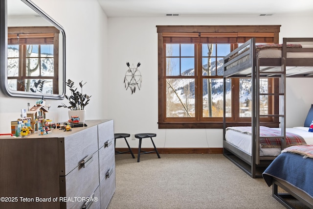 524 Lower Snow King Loop Unit 241, Jackson, WY 83001 - photo 26