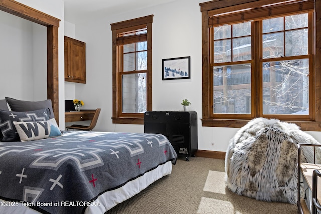 524 Lower Snow King Loop Unit 241, Jackson, WY 83001 - photo 31