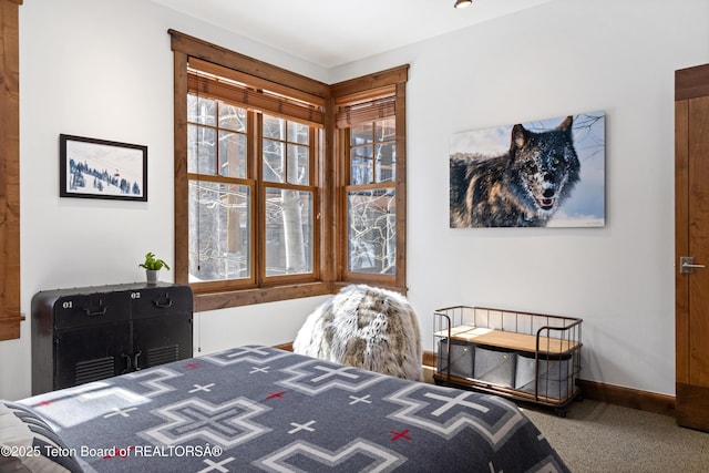 524 Lower Snow King Loop Unit 241, Jackson, WY 83001 - photo 33