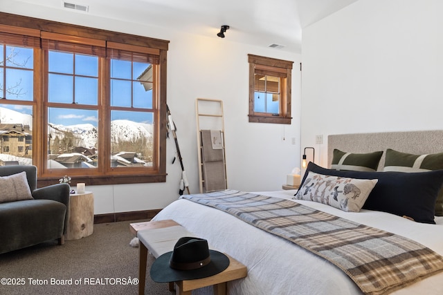 524 Lower Snow King Loop Unit 241, Jackson, WY 83001 - photo 20