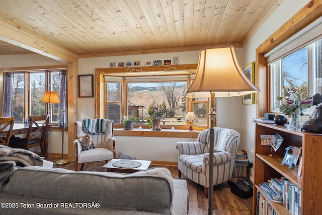 611 W Ramshorn St, Dubois, WY 82513 - living area featuring wooden ceiling, wood finished floors, and plenty of natural light