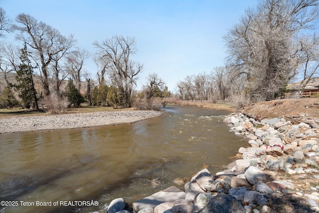 611 W Ramshorn St, Dubois, WY 82513 - water view