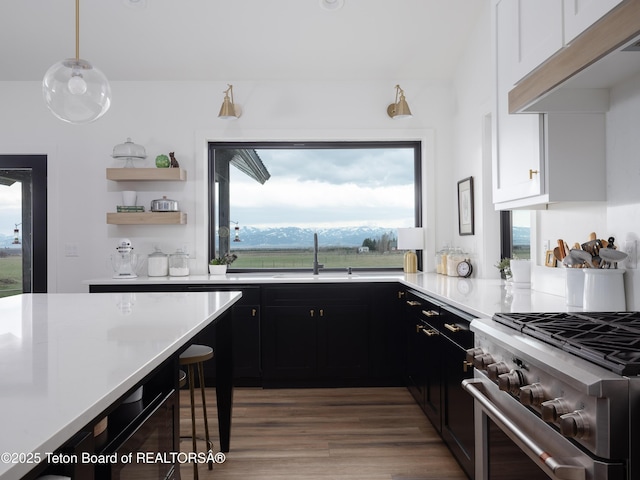 kitchen featuring a sink, dark cabinets, high end stainless steel range, and light countertops