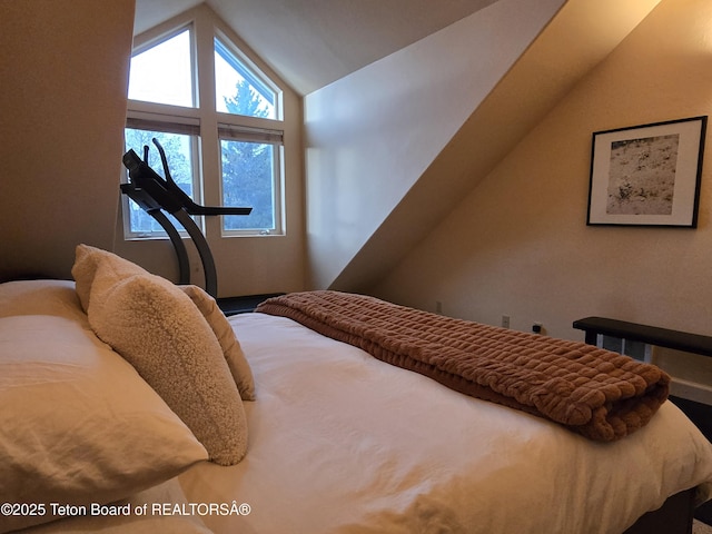 bedroom with lofted ceiling