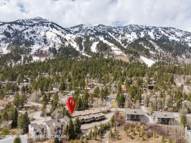7250 N Rachel Way Unit 6, Teton Village, WY 83025 - view of mountain background