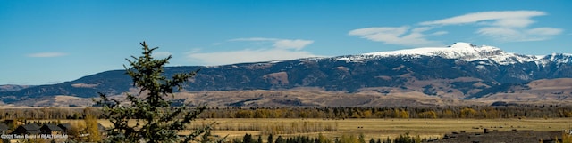 7250 N Rachel Way Unit 6, Teton Village, WY 83025 - view of mountain backdrop