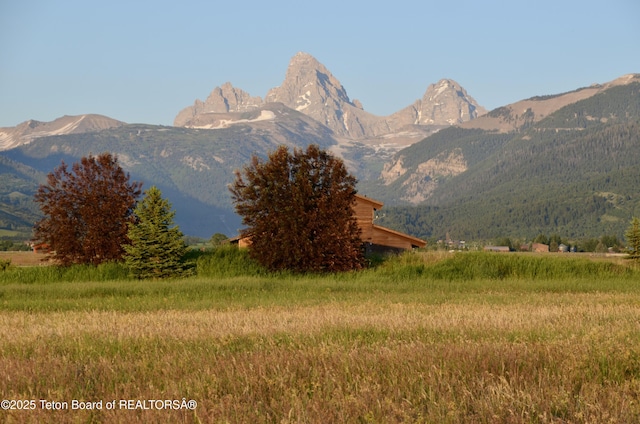 1404 Canyon Sunrise, Driggs, ID 83422 - view of mountain background